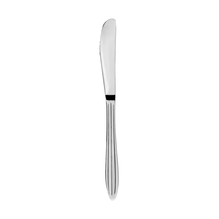 Gastro knife - Stainless steel - Aida