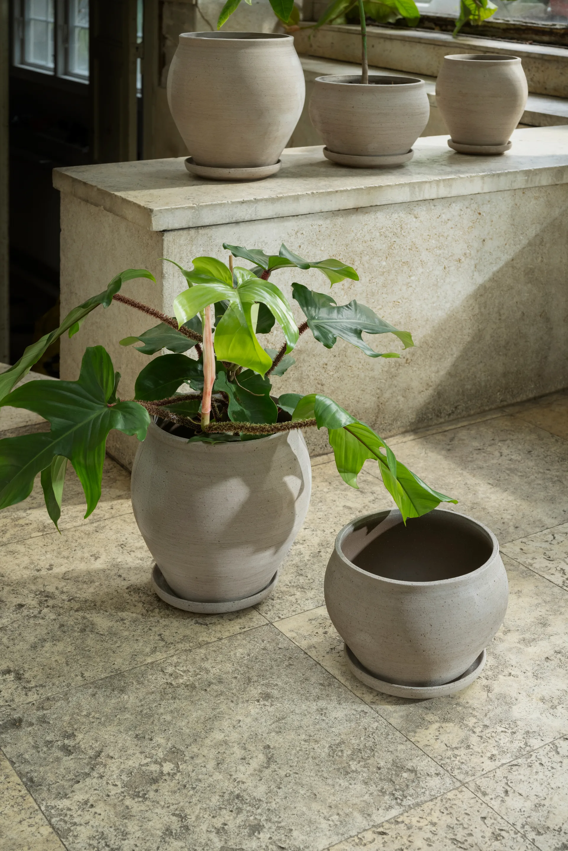 Delphi pot with saucer, 2 pieces, Grey, Ø22 cm, tall Bergs Potter