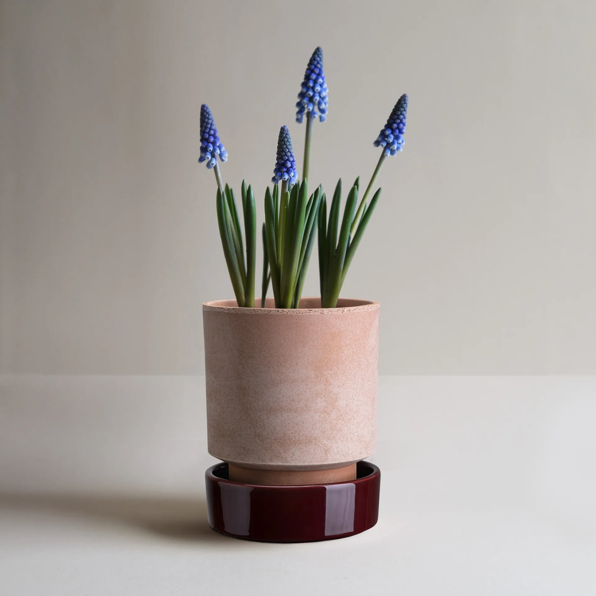 Hoff plant pot, Ø16 cm, Raw Rosa-Deep Burgundy  (pink-red) Bergs Potter