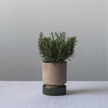 Hoff plant pot - Ø16 cm, Raw Rosa-Emerald Green (pink-green) - Bergs Potter