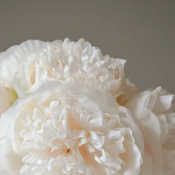 Artificial peony bouquet - Mini, Cream 10 pcs - Botané