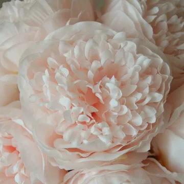 Artificial peony bouquet - Mini, light pink 10 pcs - Botané