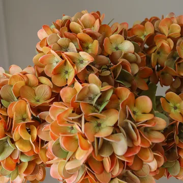 Hydrangea artificial bouquet - Orange, 60 cm, 6 pcs - Botané
