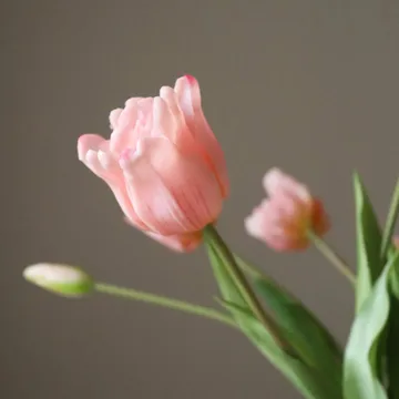 Triumph tulips artificial bouquet - Light pink, 10 pcs - Botané