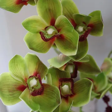 Velvet Vine artificial bouquet - Orchid-amaranth, set of 6 - Botané