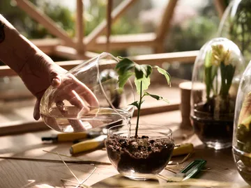 Grow greenhouse - x-large Ø20 cm - Design House Stockholm