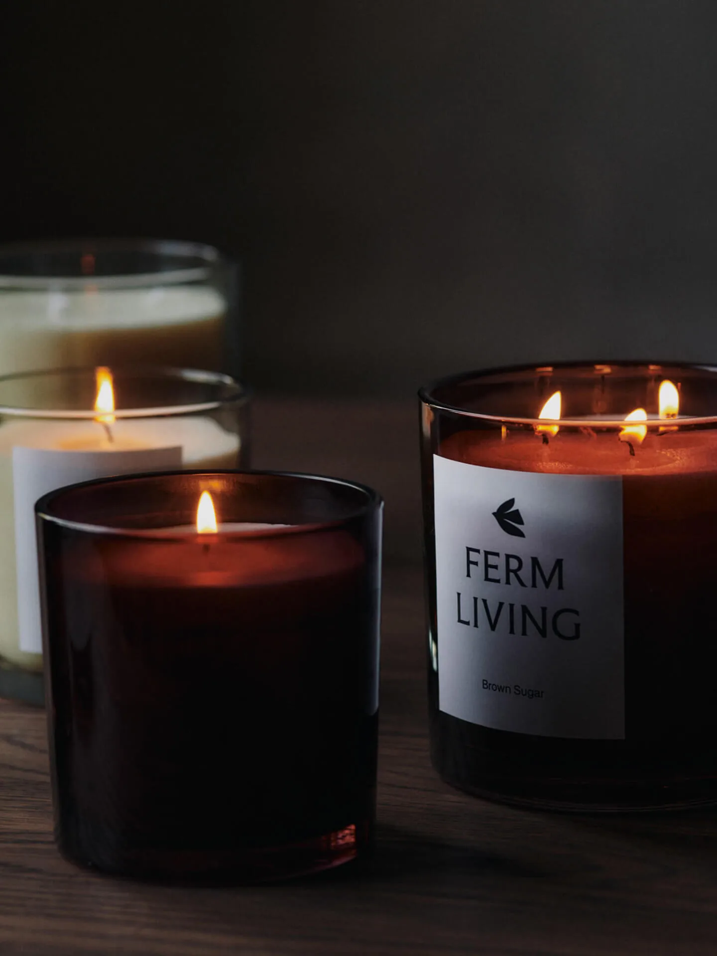 Vitto scented candle 50 h, Dark Grape Ferm Living