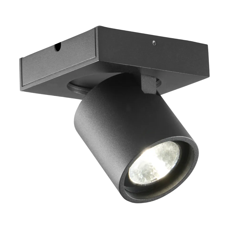Focus 1 wall and ceiling lamp switch tune, Black Light-Point