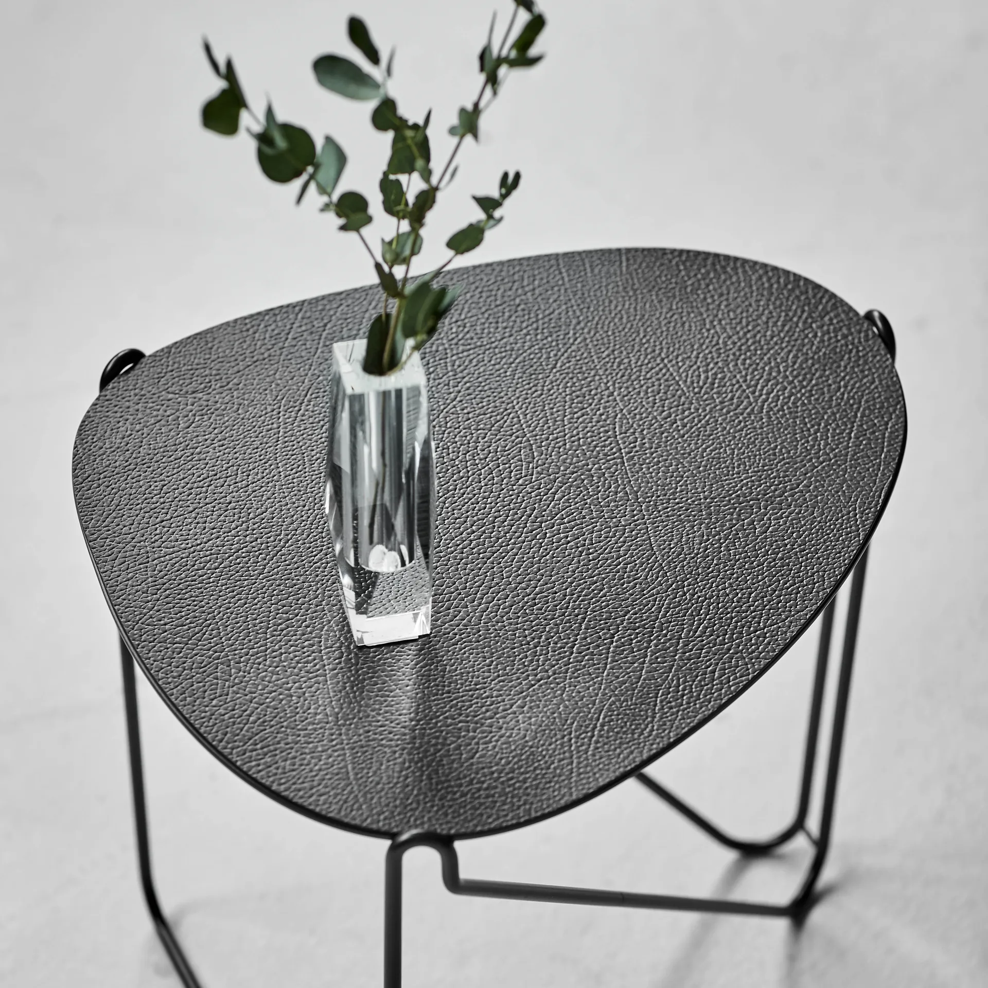 Curve Chameleon Hippo side table, black-anthracite LIND DNA