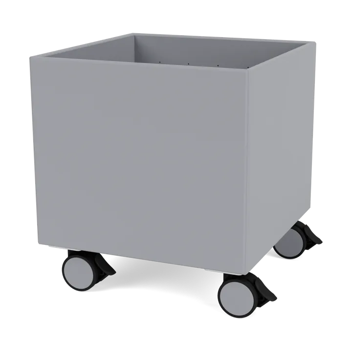 Colour Box I – S6161 - Graphic - Montana