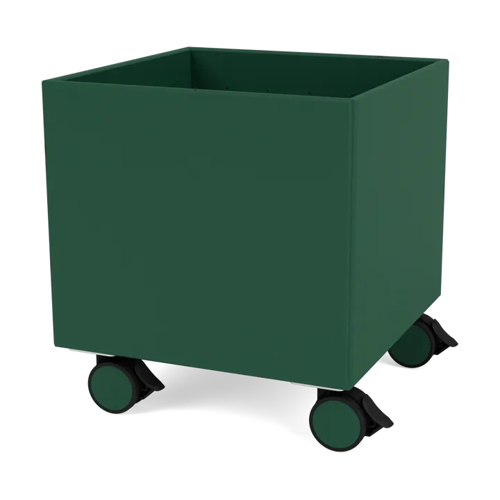 Colour Box I – S6161 - Pine - Montana