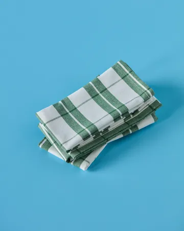 Chef cotton napkin 4-pack - Green - Nicolas Vahé
