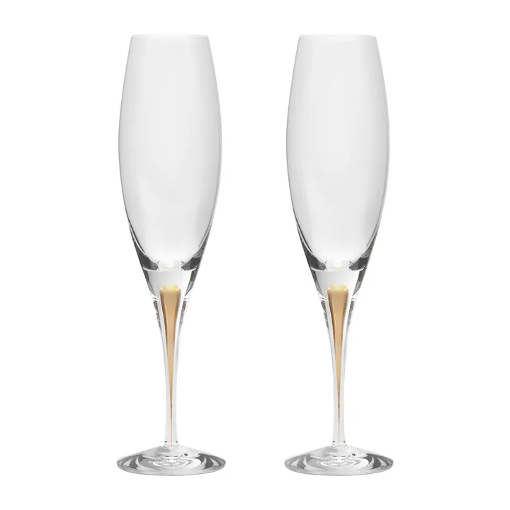 Intermezzo champagne glass 26 cl 2-pack - Gold - Orrefors