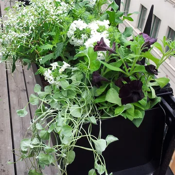 Jorda window box - Black 100 cm - SMD Design