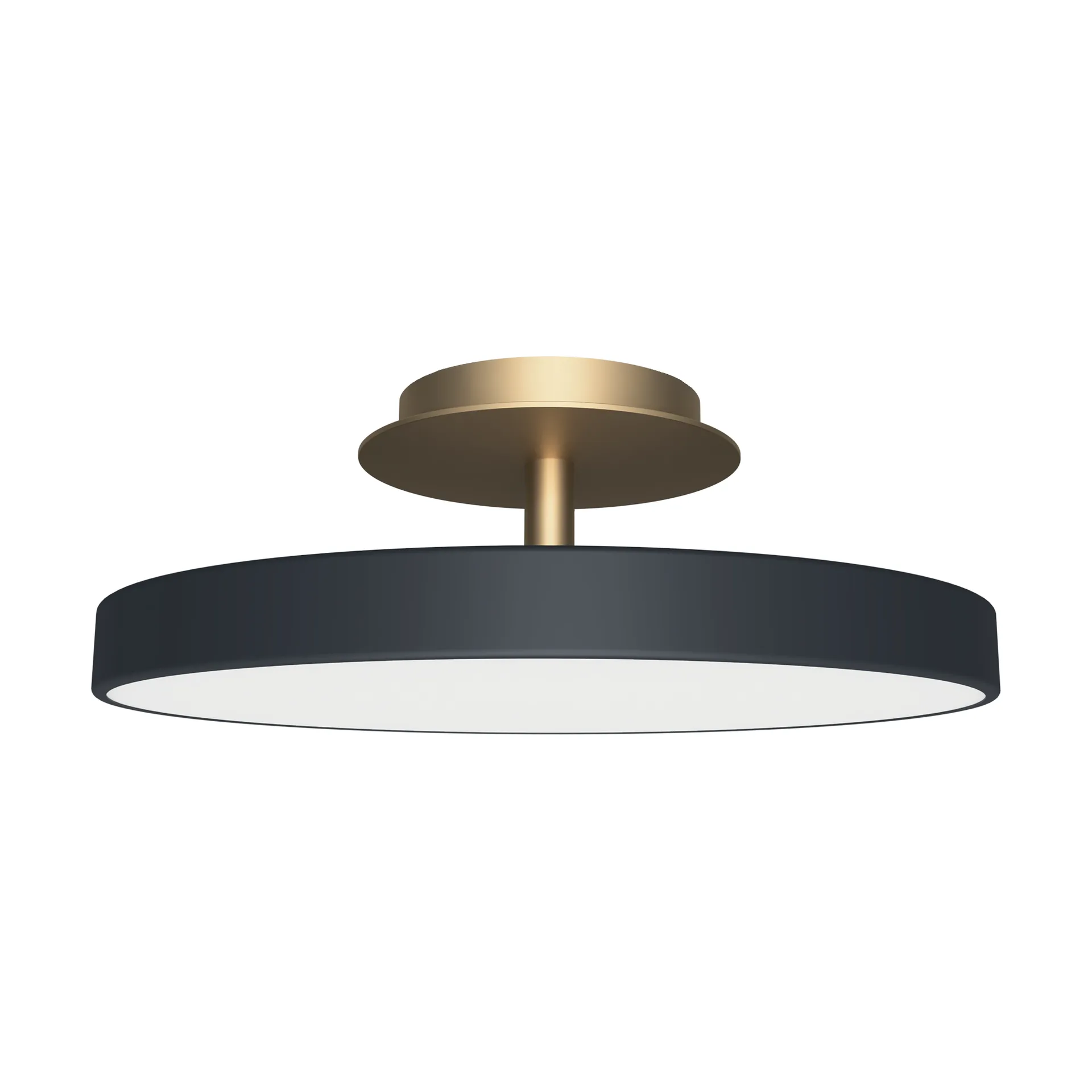Asteria Up plus mini, Anthracite Umage