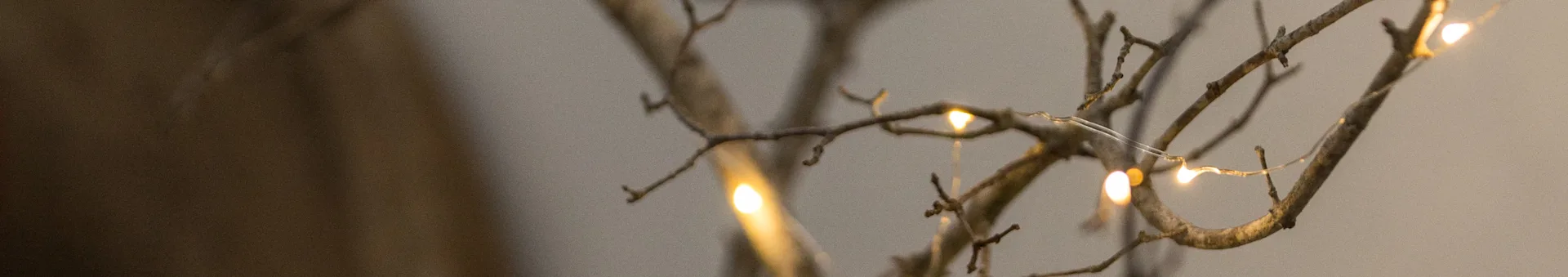 Close-up of bare tree branches adorned with glowing warm white fairy lights, set against a blurred background.