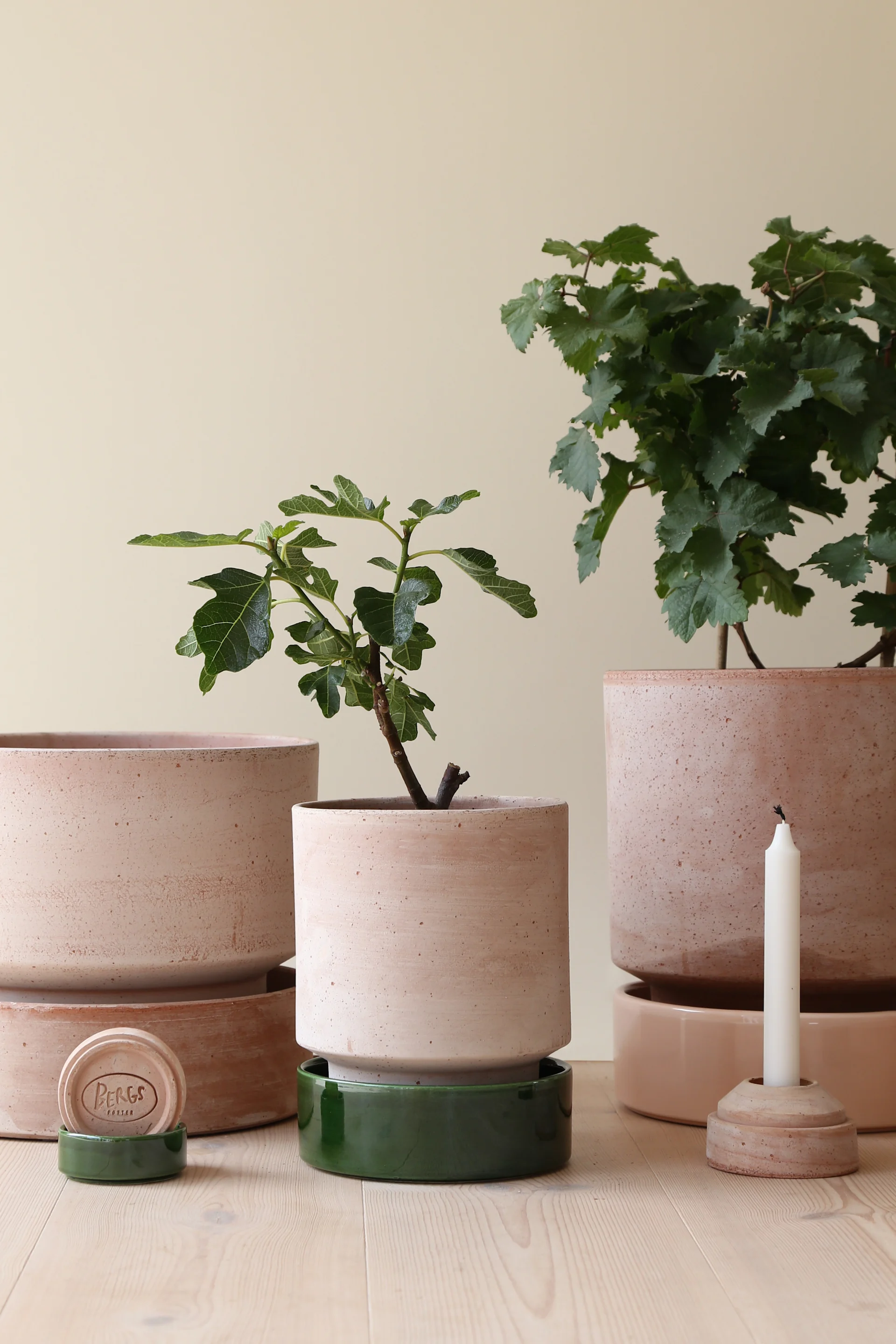 Three potted plants in light pink terracotta pots, with an unlit candle and small ceramic dishes on a wooden floor.