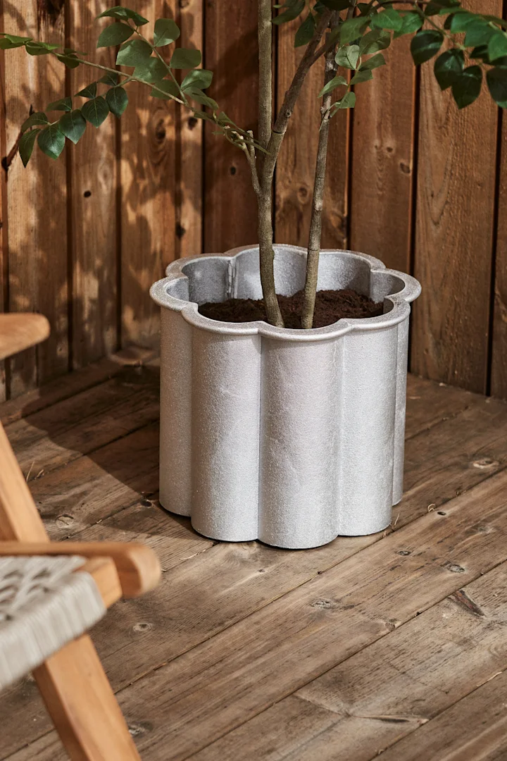 A plant with green leaves in a textured light grey, scallop-edged planter on a wooden deck.