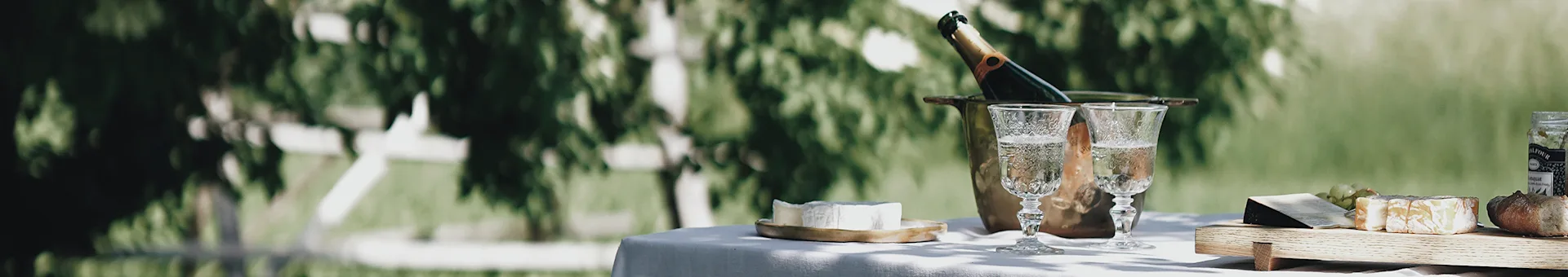 A table set outdoors with a bottle of champagne in an ice bucket, two glasses of sparkling wine, and an assortment of cheeses.